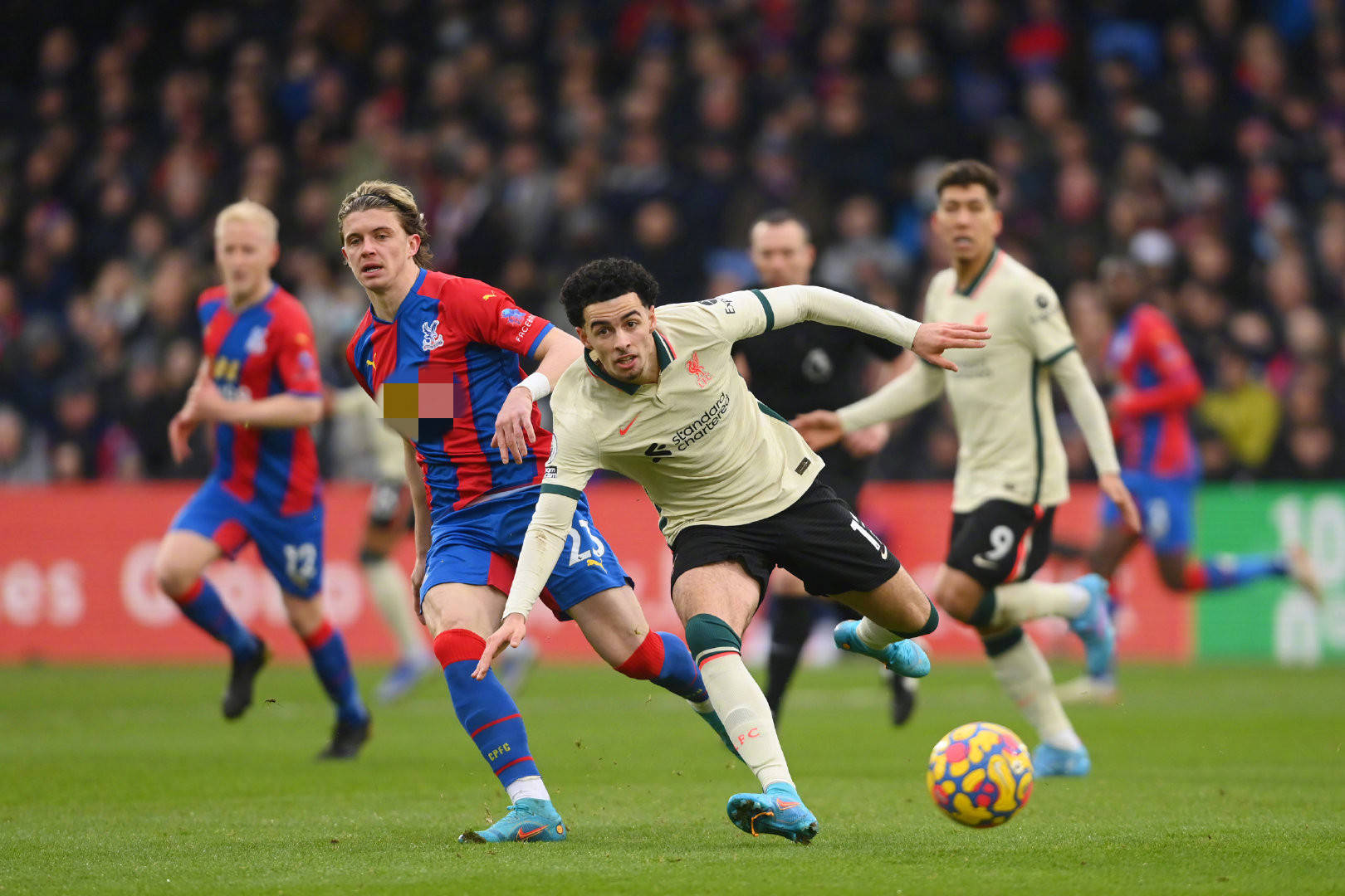 学习成绩也 学习成绩也