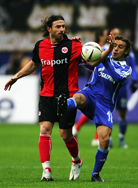 托特纳姆热 托特纳姆热